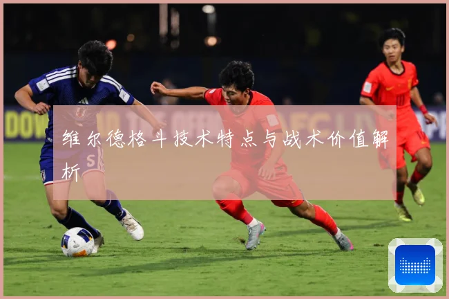 维尔德格斗技术特点与战术价值解析