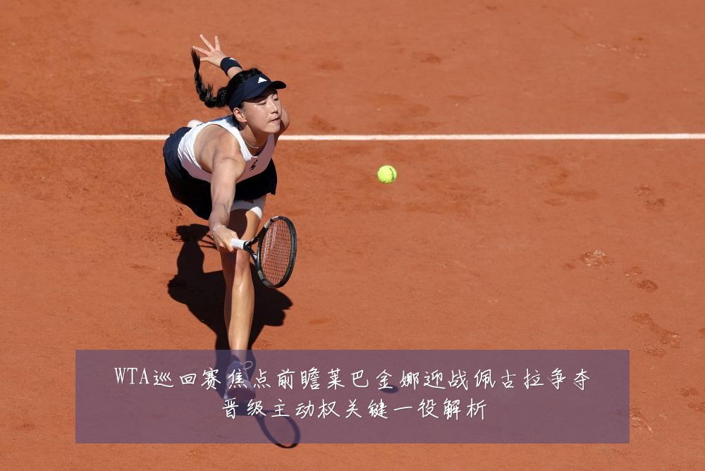 WTA巡回赛焦点前瞻莱巴金娜迎战佩古拉争夺晋级主动权关键一役解析