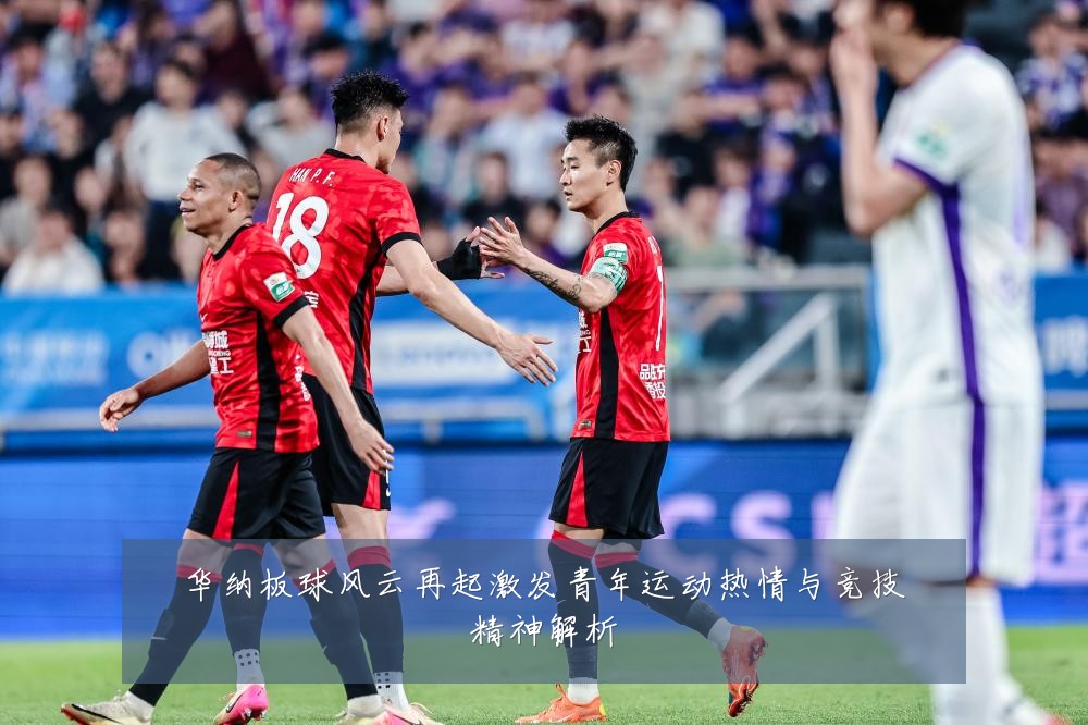 华纳板球风云再起激发青年运动热情与竞技精神解析