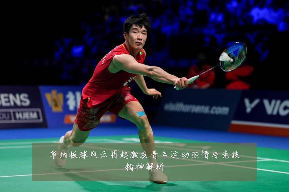 华纳板球风云再起激发青年运动热情与竞技精神解析
